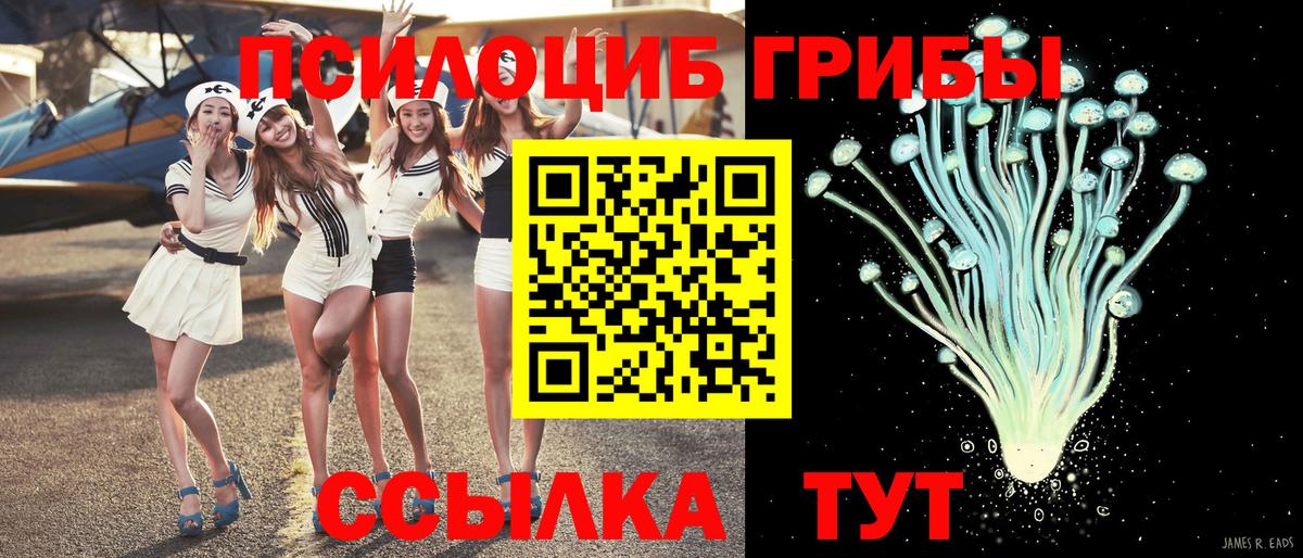 Галлюциногенные грибы Magic Shrooms  Псилоцибиновые грибы прущие грибы  Вход с VPN  Чернушка 