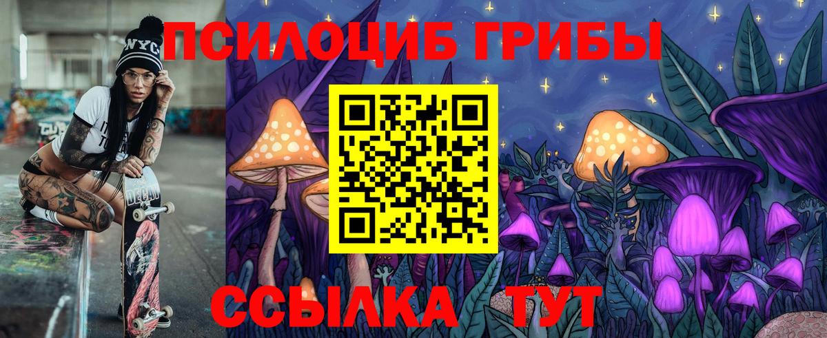 Псилоцибиновые грибы MAGIC MUSHROOMS Чернушка